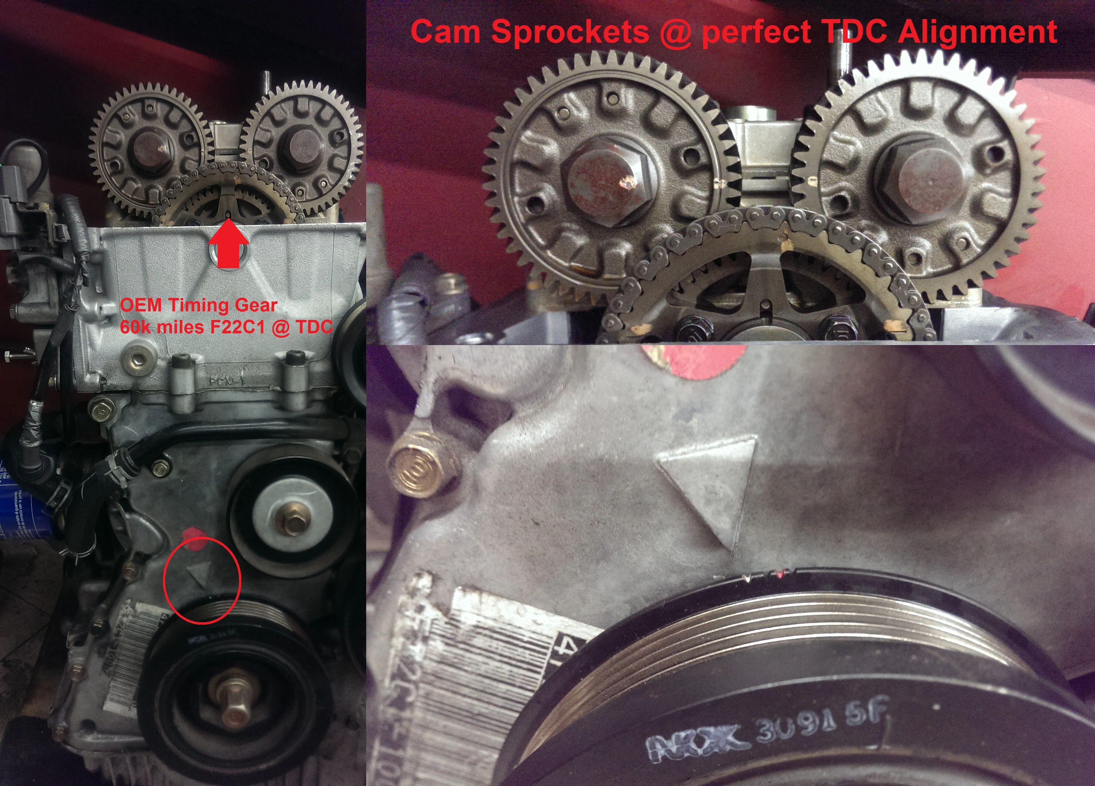 Ballade Sports Honda 00-09 S2000 Timing Chain Gear - Image 5