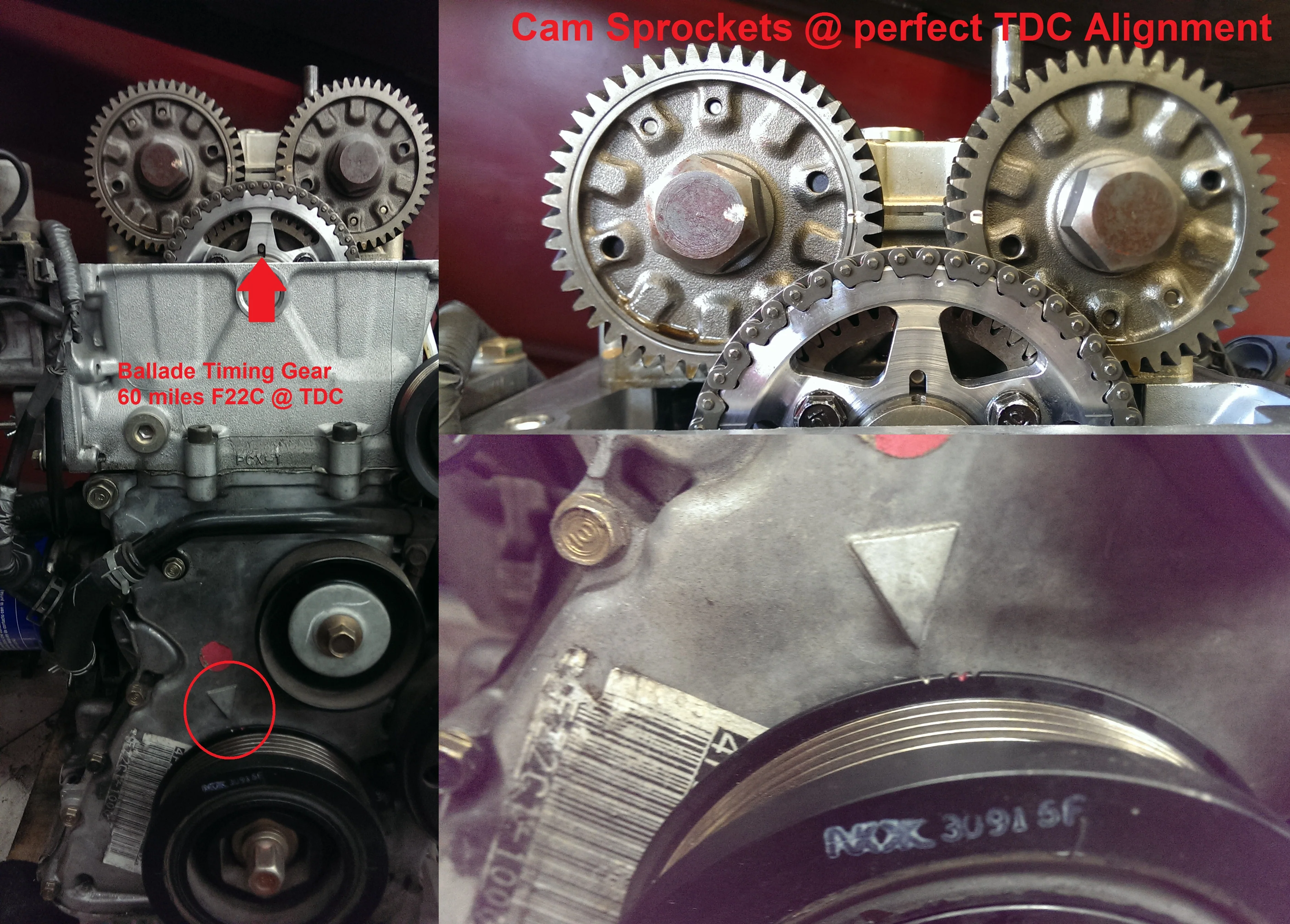 Ballade Sports Honda 00-09 S2000 Timing Chain Gear - Image 6