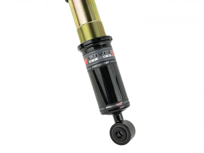 Skunk2 Racing 17-20 Honda Civic Si Pro-ST Coilovers - Image 5